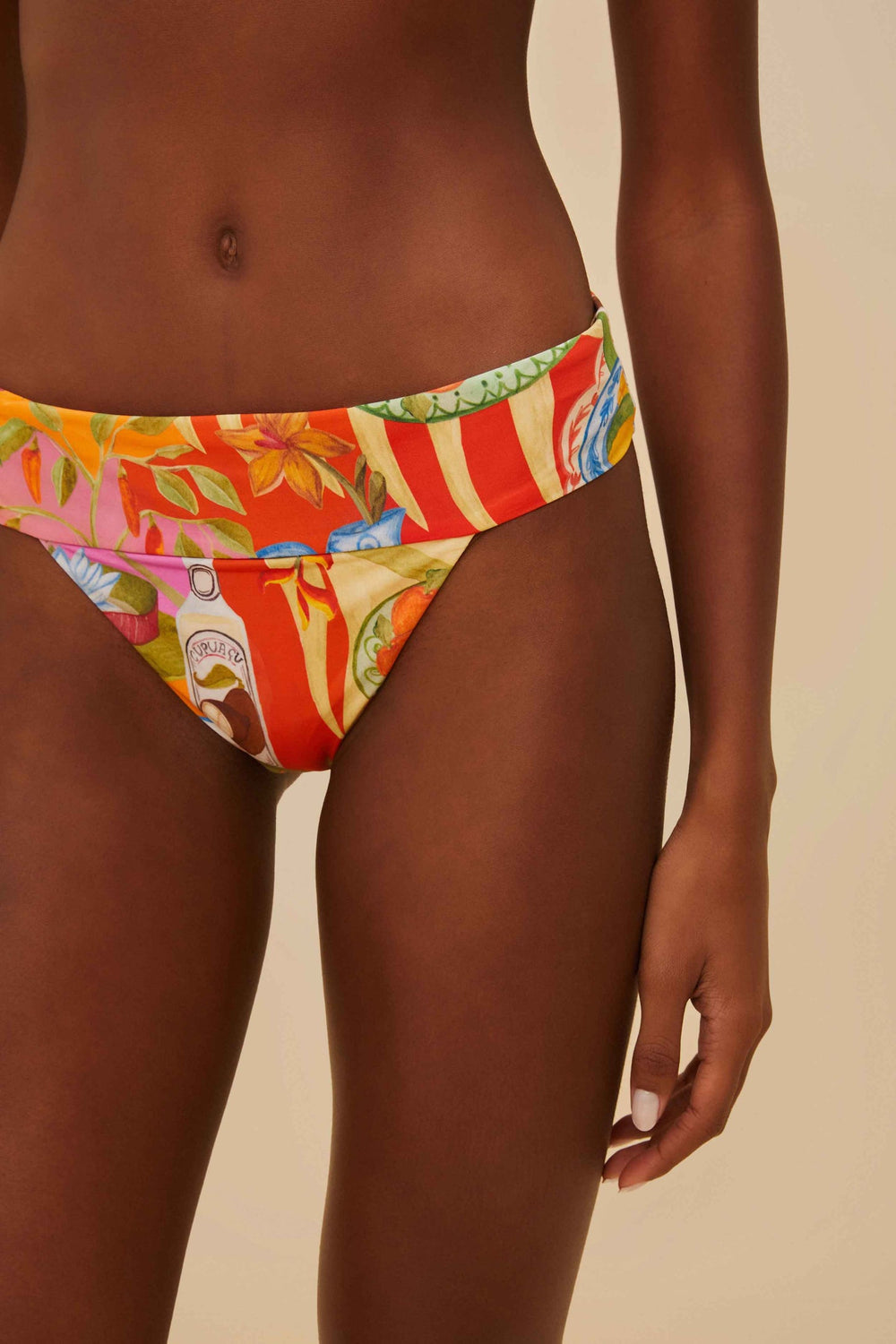 Multicolor Summer Picnic Bikini Bottom | FARM Rio